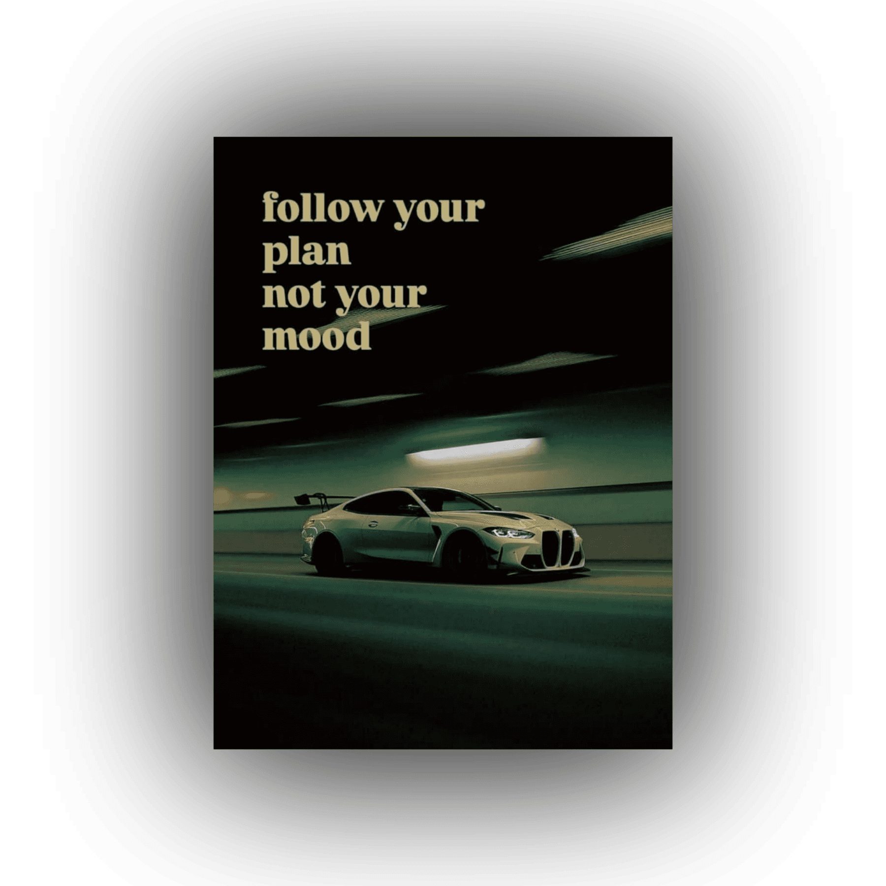 FOLLOW YOUR PLAN NOT YOUR MOOD CANVAS