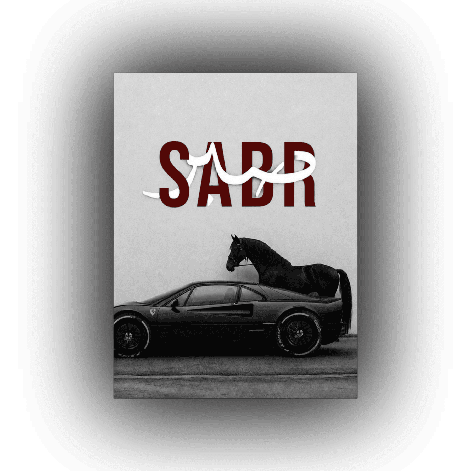 SABR CANVAS